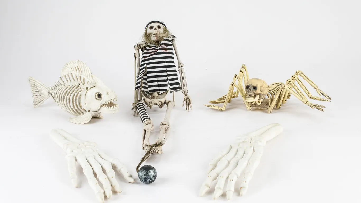 Bones, Spiders and Fish Oh My! A Grouping of Four Skeleton Decorations!