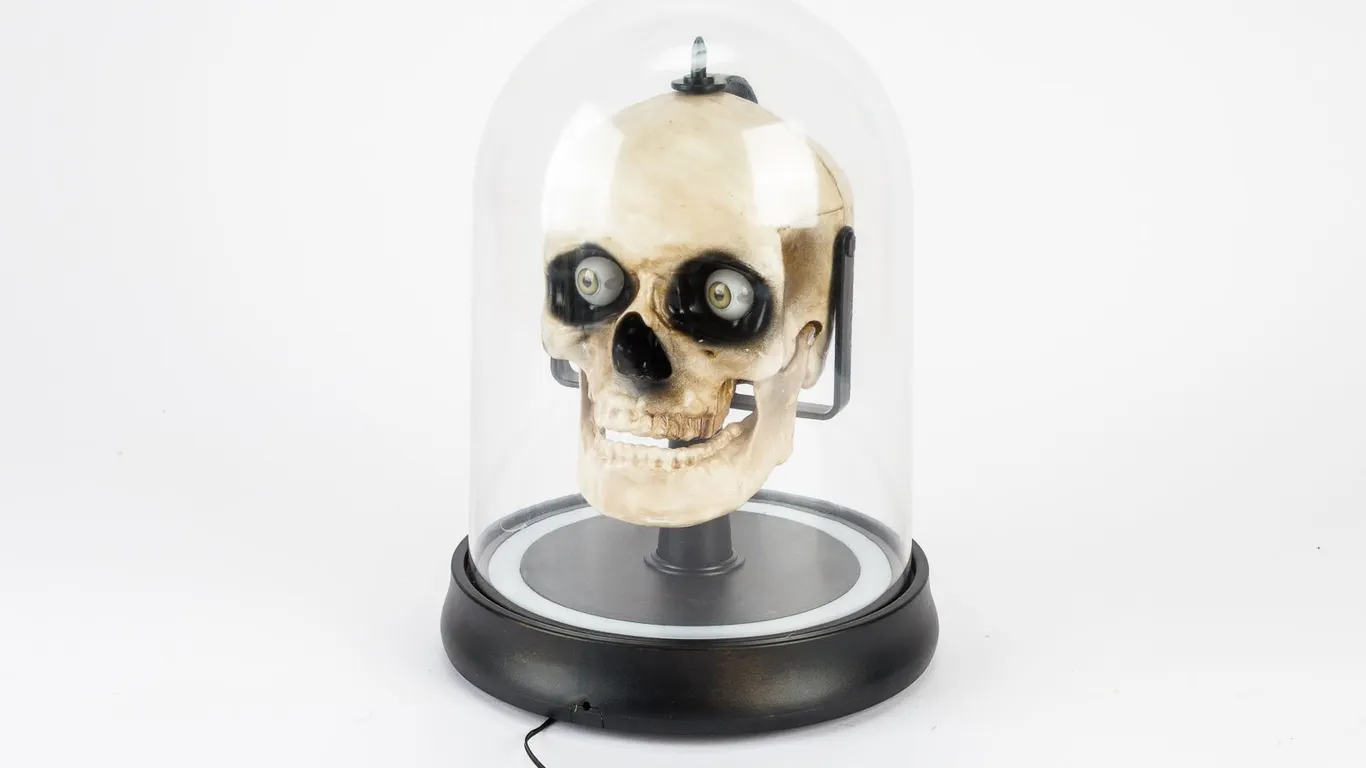 Gemmy Talking Skull Halloween Animatronic