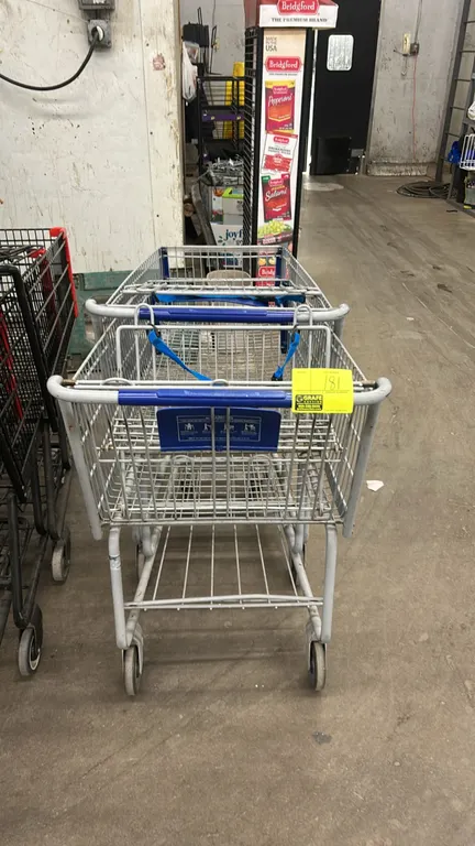 Metal wire shopping carts. Features folding child seat with restraint strap, blue plastic handle sleeve, blue corner bumpers, and lower wire storage r