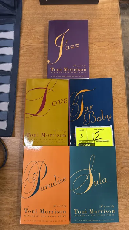 Toni Morrison paperback novels. Includes 'Jazz', 'Love', 'Tar Baby', 'Paradise', and 'Sula'. Each volume features a foreword by the author.