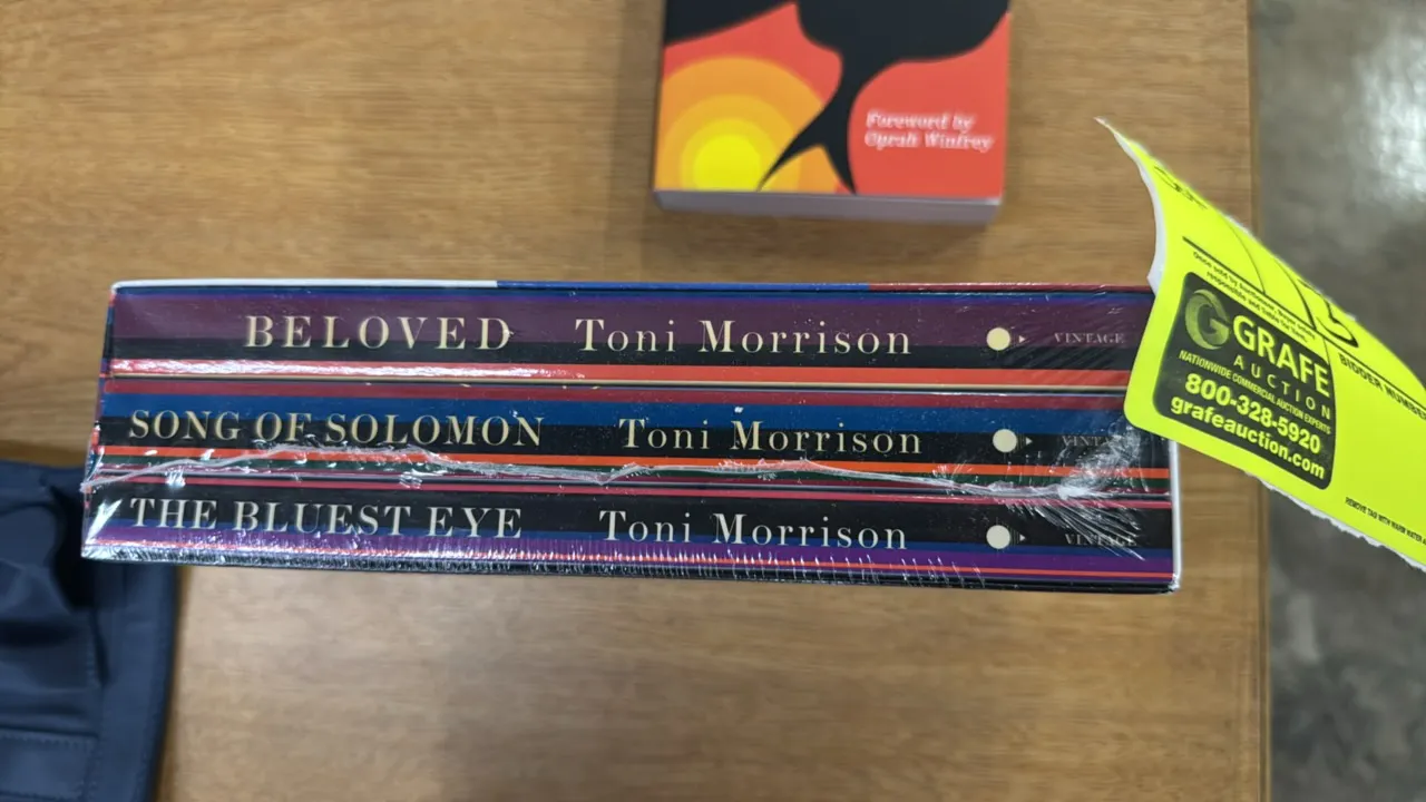 Vintage Books Toni Morrison three-book boxed set. Includes 'The Bluest Eye', 'Song of Solomon', and 'Beloved' housed in a decorative slipcase. Factory