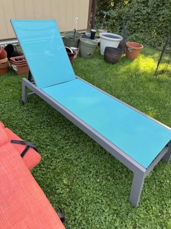 Flowerpots, Dog Kennel, & Chaise Lounges
