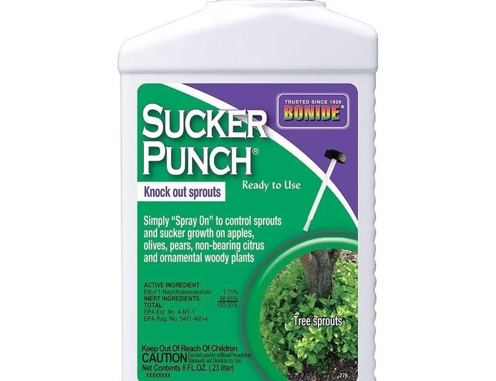 Bonide Sucker Punch Weed Killer 8 oz