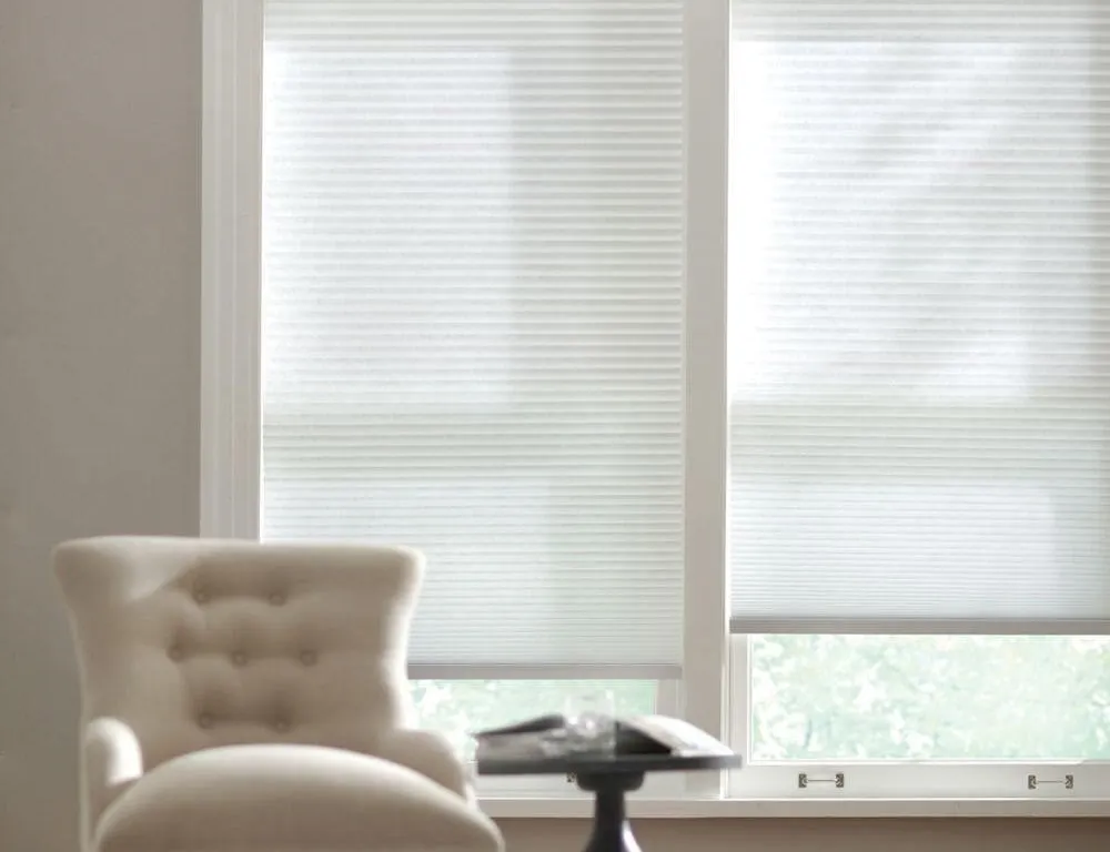 Home Decorators Collection Cordless Shade 31x48