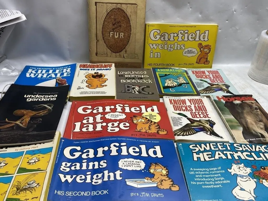 Vintage Book Lot: Garfield, Heathcliff, B.C. &