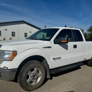 2010 Ford F150