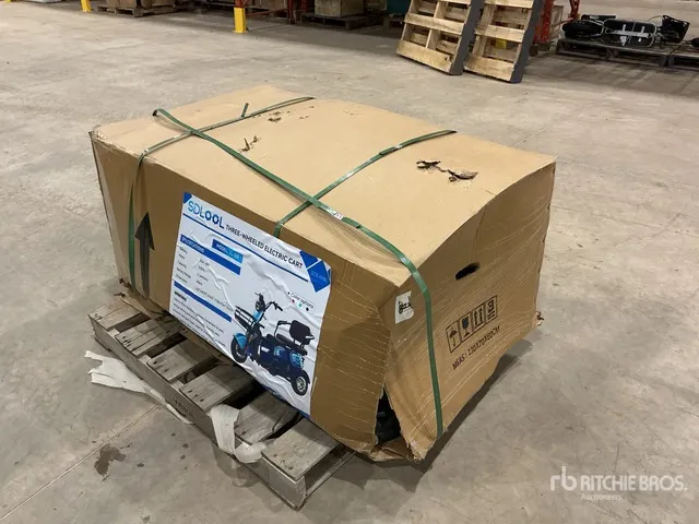 2026 SDLOOL SL-D3 Electric Trike (Unused)