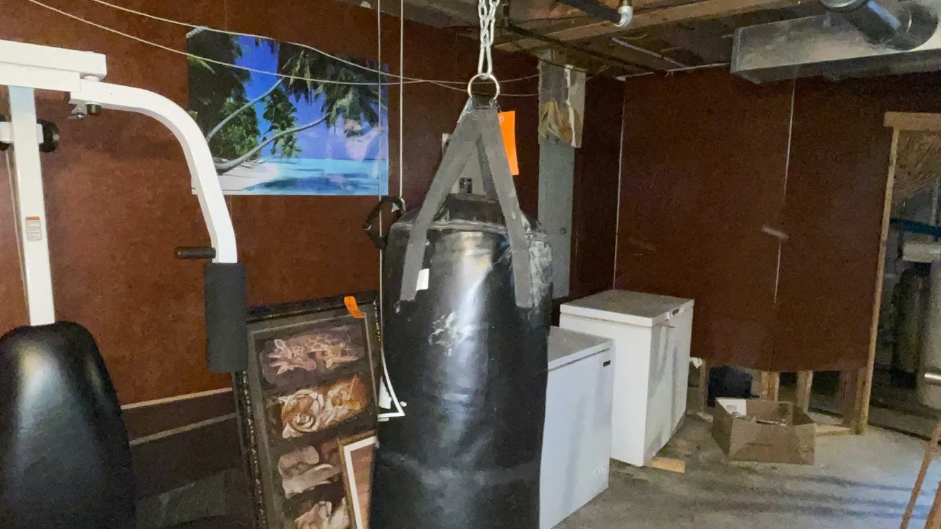 Pull Up Bar and Punching Bag