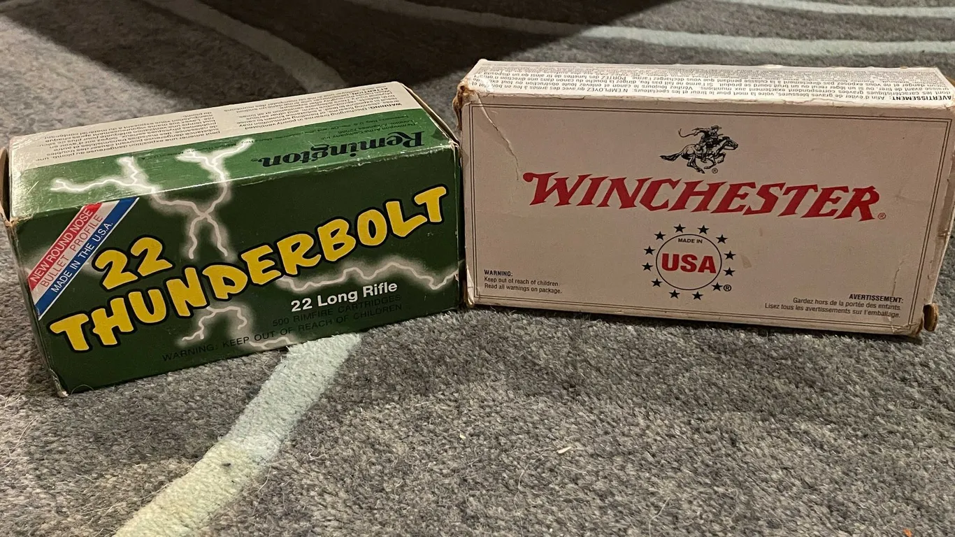 .357 Sig and .22LR Bullets