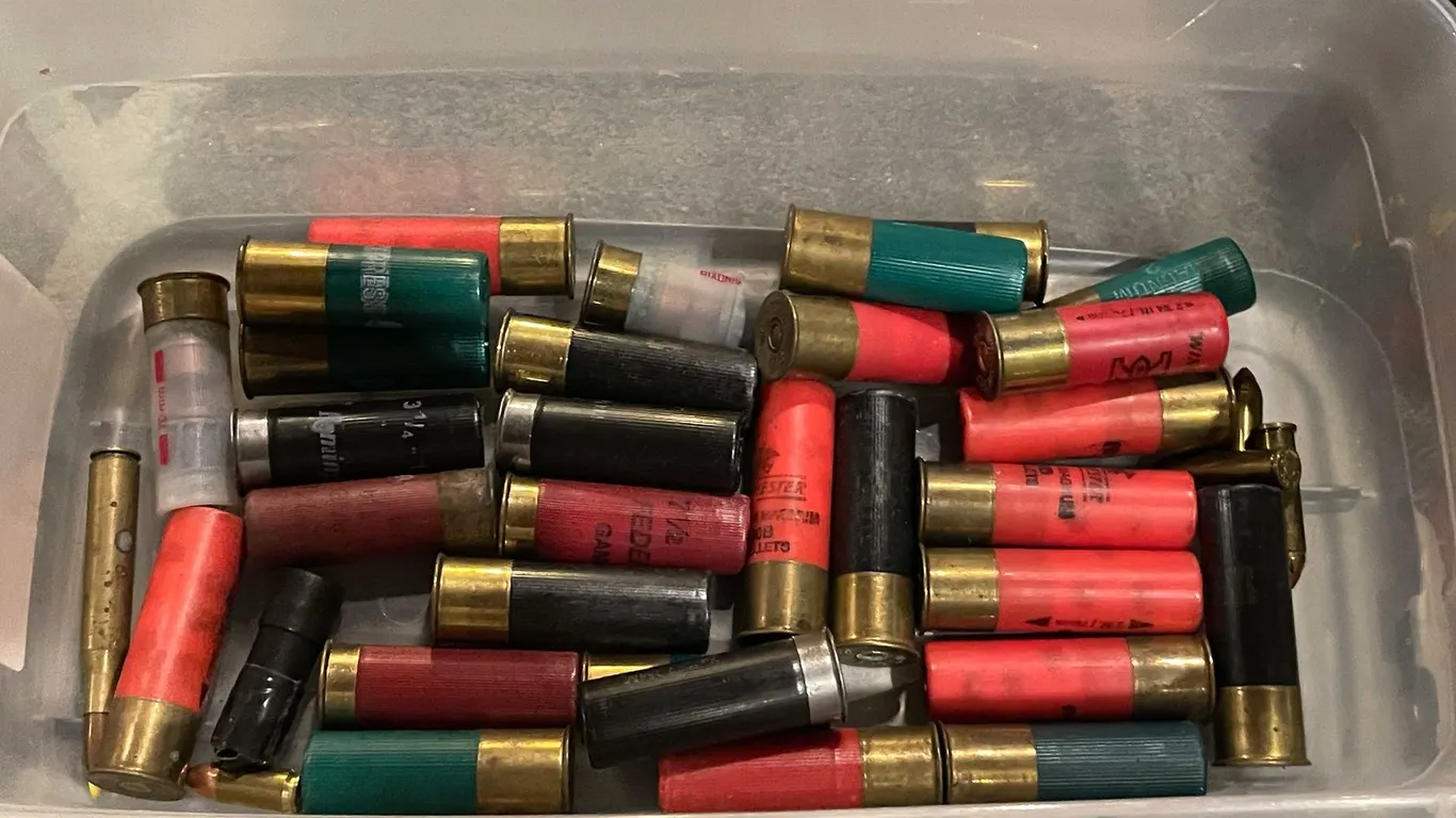 Shotgun Shells