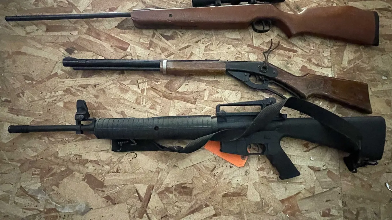 (3) BB Guns
