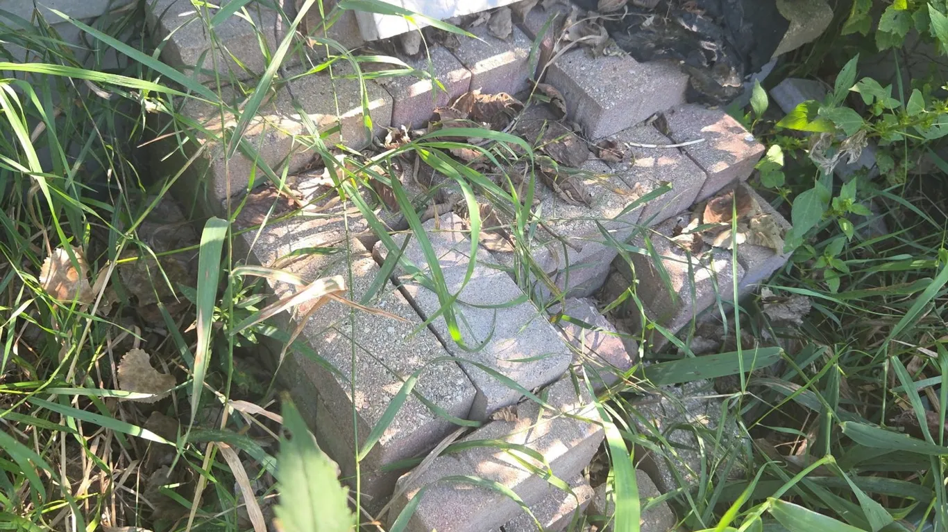 Bricks