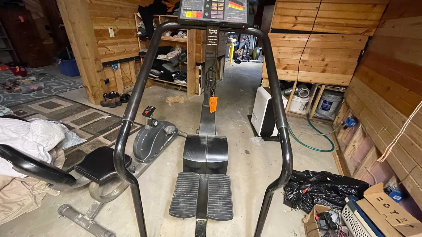 Diamondback Stair Stepper