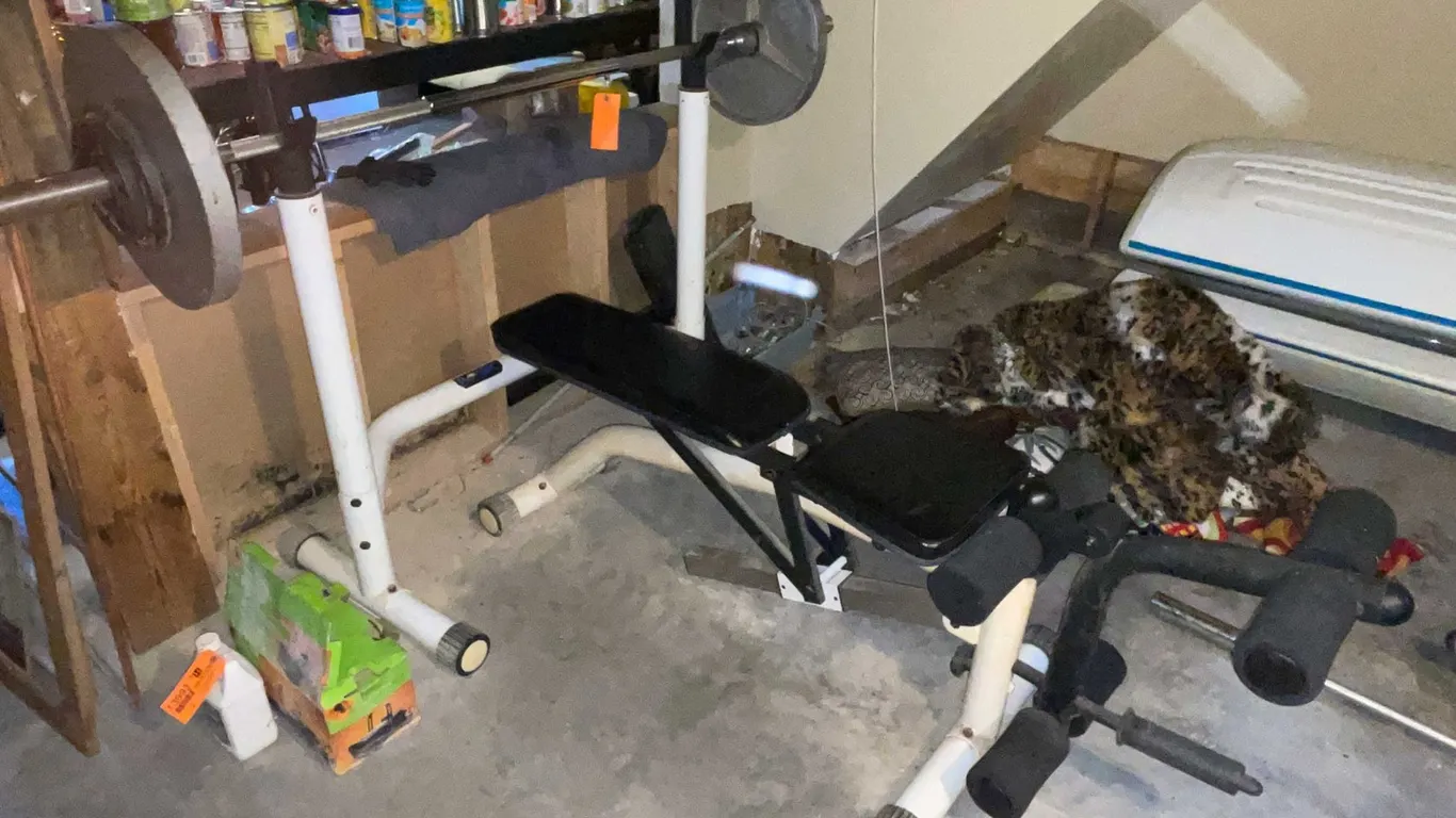 Weight Bench and Bar