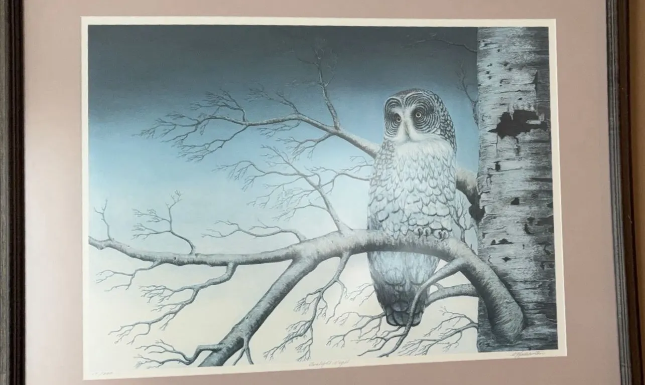 Twilight Vigil Great Gray Owl Limited Edition Print by A.J. Halliburton