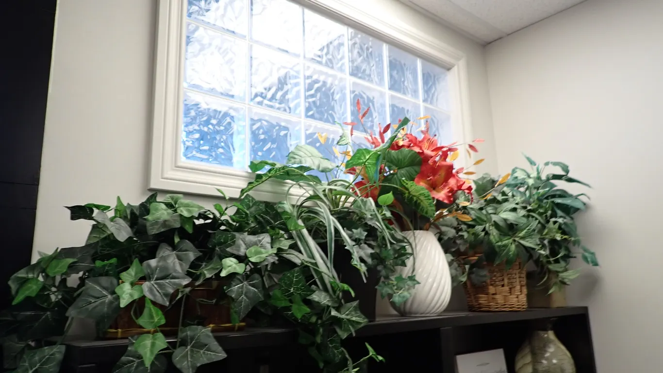 Lot of (5) Artificial Plants.