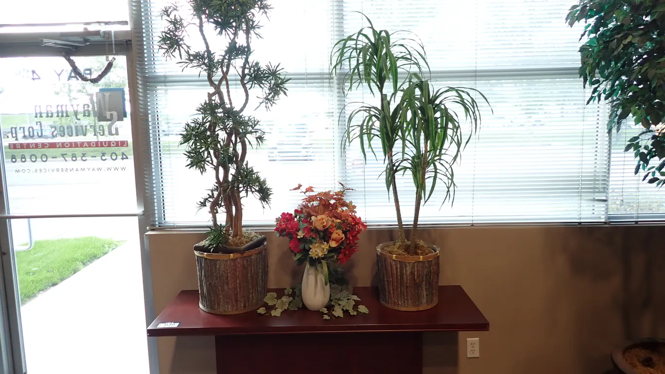 Lot of (3) Artificial Plants and Wall Hung Artificial Plant.