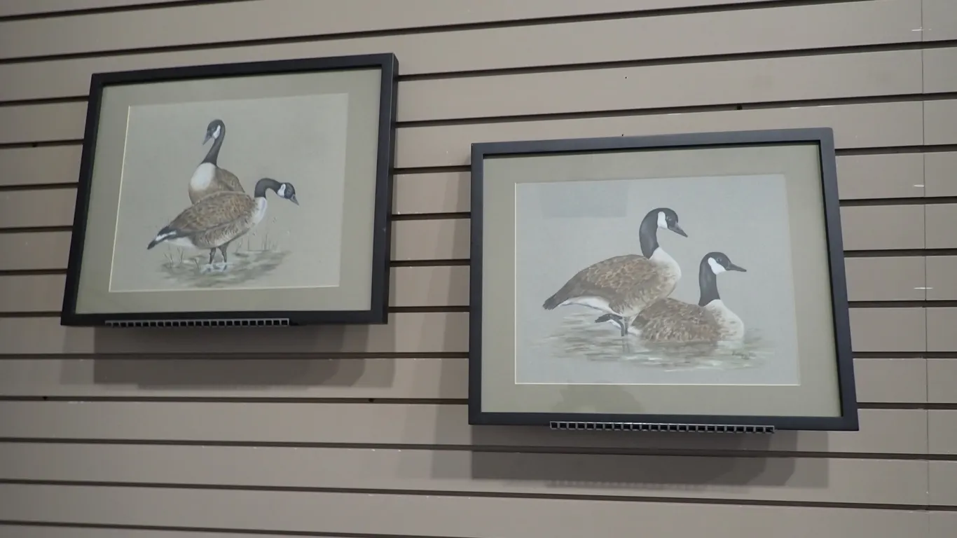 Lot of (2) Framed Prints- Canadian Geesse.