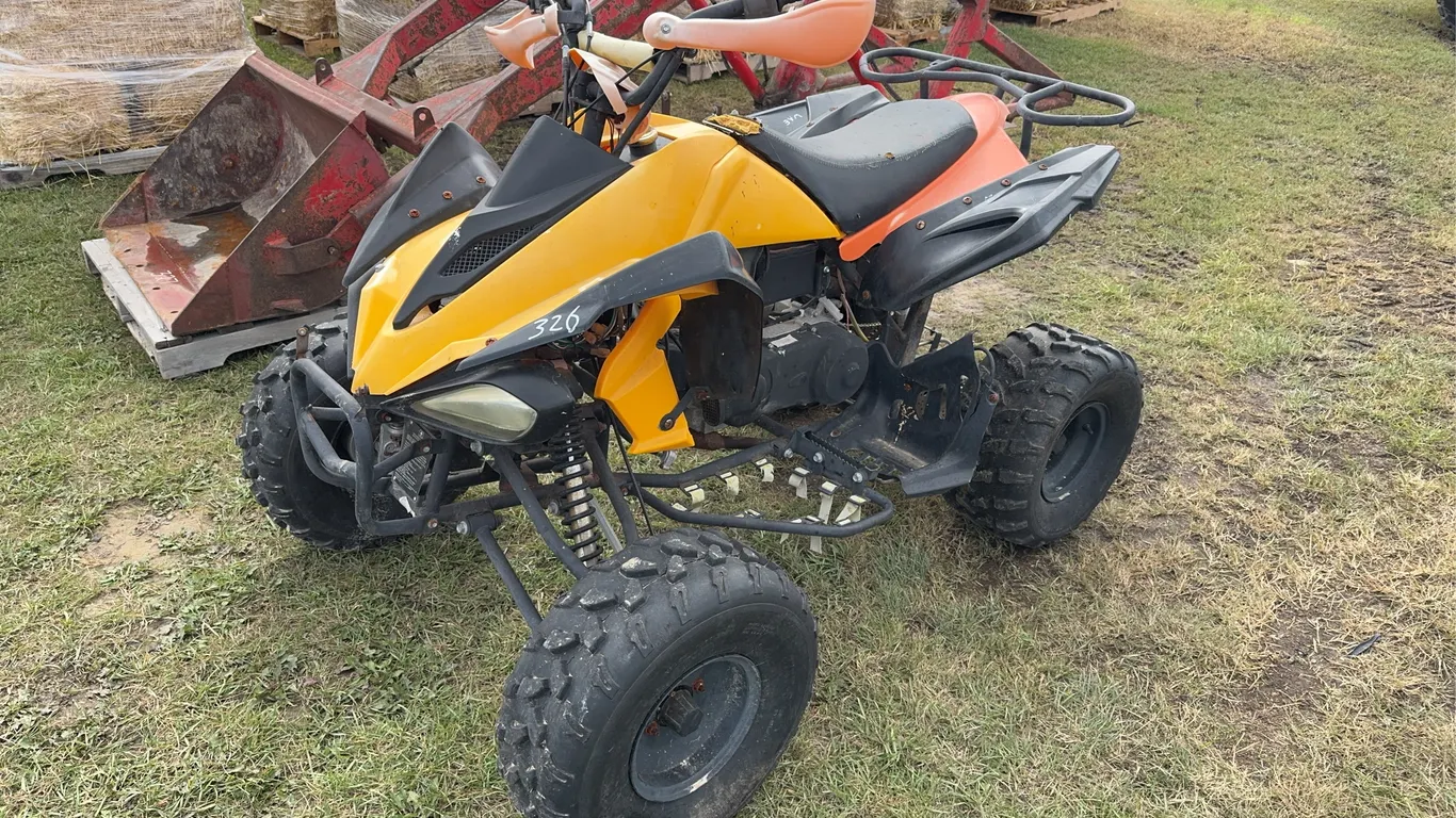 Tao Tao kid's quad , 150cc *UnReserved*