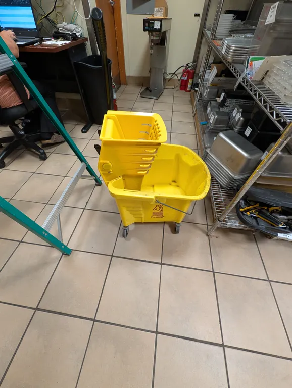 Mop Bucket with Wringer and Mop