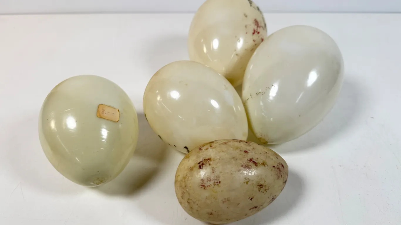 Antique Hand-Blown Milk Glass Easter Eggs Collection
