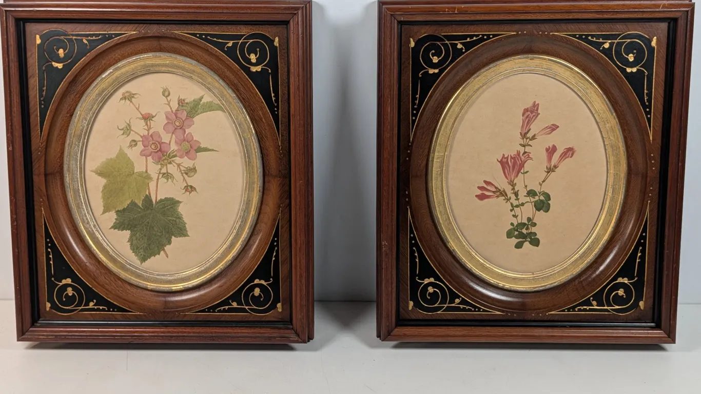 Pair of Framed Botanical Prints in Ornate Wood Frames