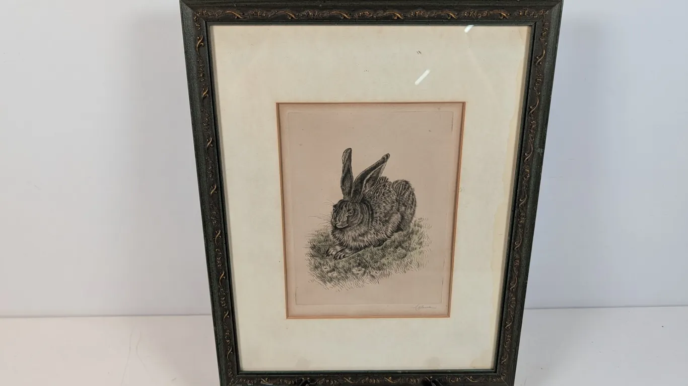 Framed Hand-Colored Steel Engraving of a Rabbit, c. 1880s