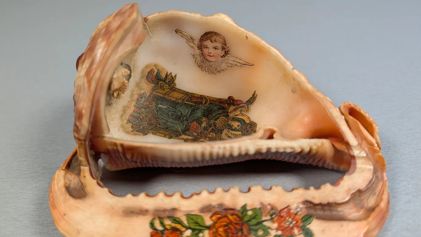 Victorian Era Decorated Sea Shell Diorama