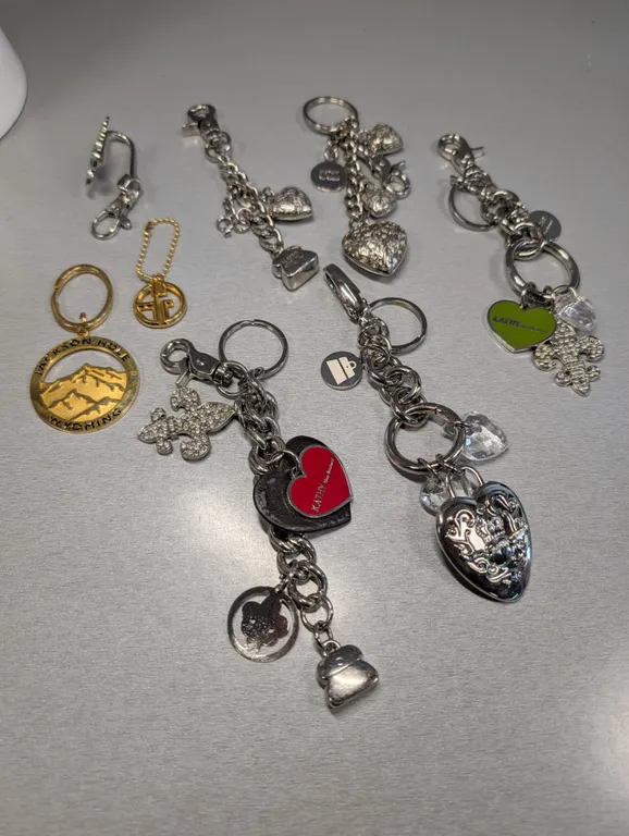 Collection of Assorted Designer and Charm Keychains