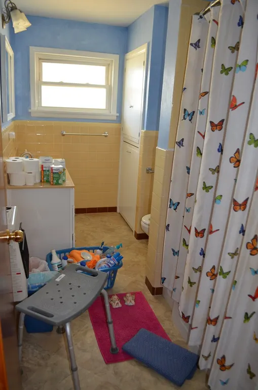 Shower Chiar, Shower Curtain, Rug