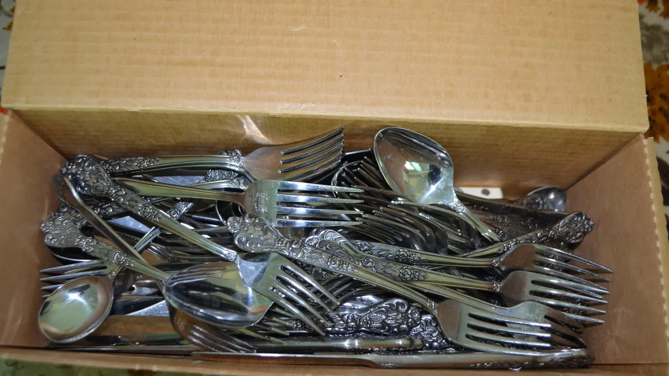 Box of Versailles Stainless Silverware