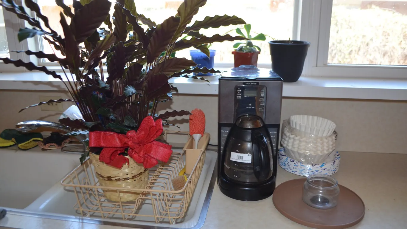 Coffee Pot, Coffee Filters, Paper Plates