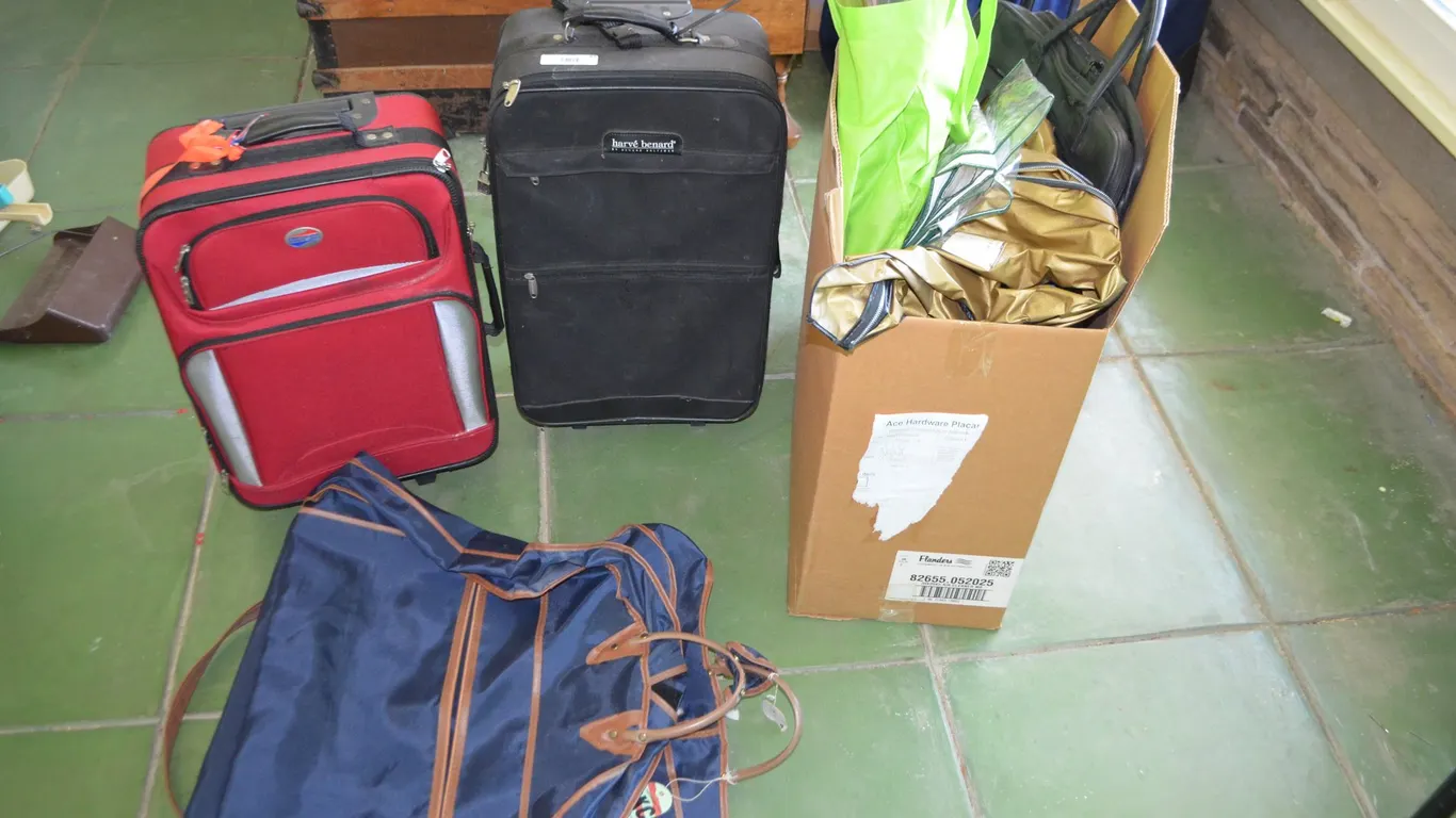 2 Carry On Bags, Box of Misc. Bags