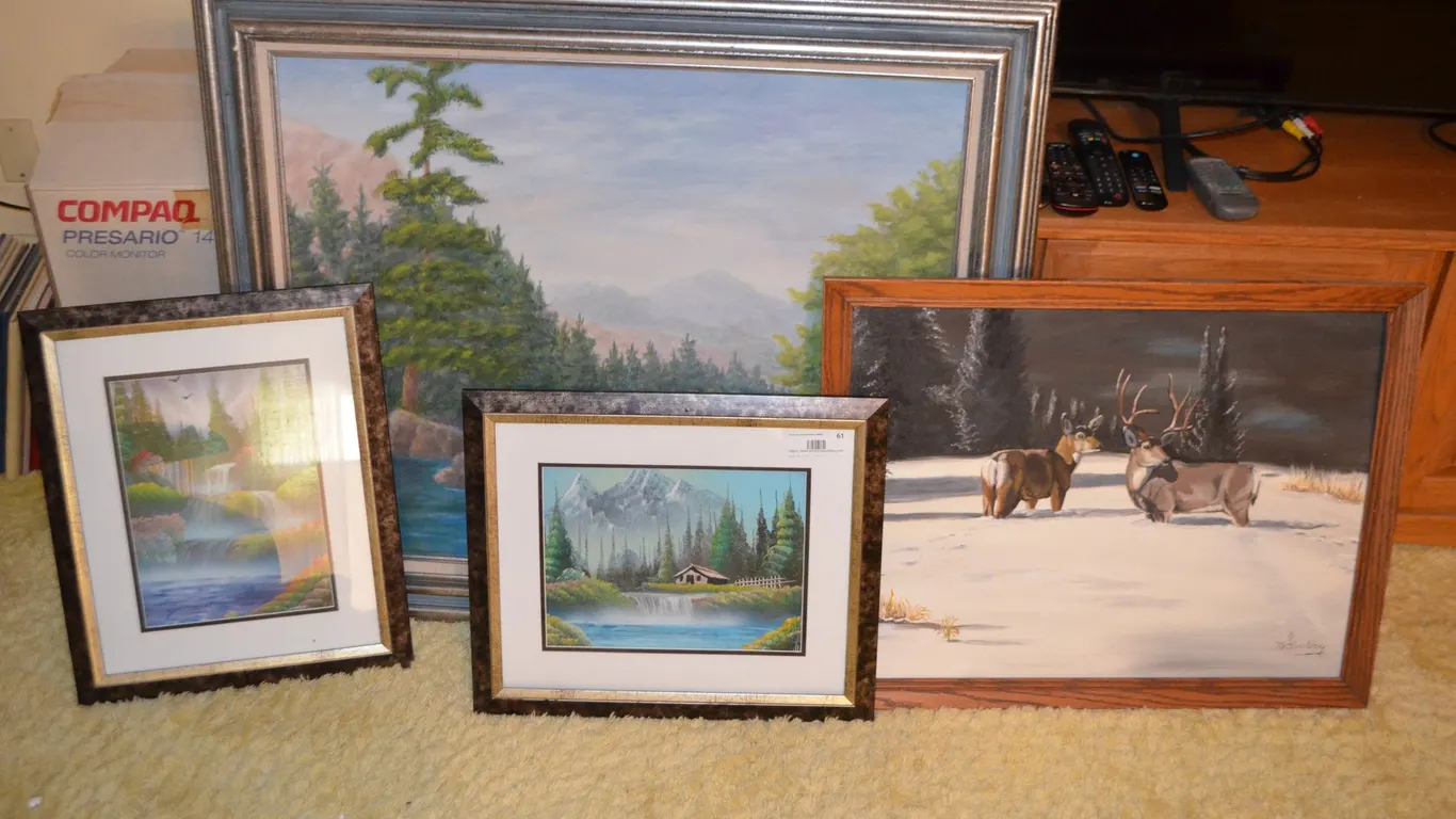 Framed Art / Hanging Pictures