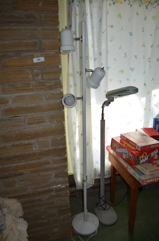 2 Floor Lamps
