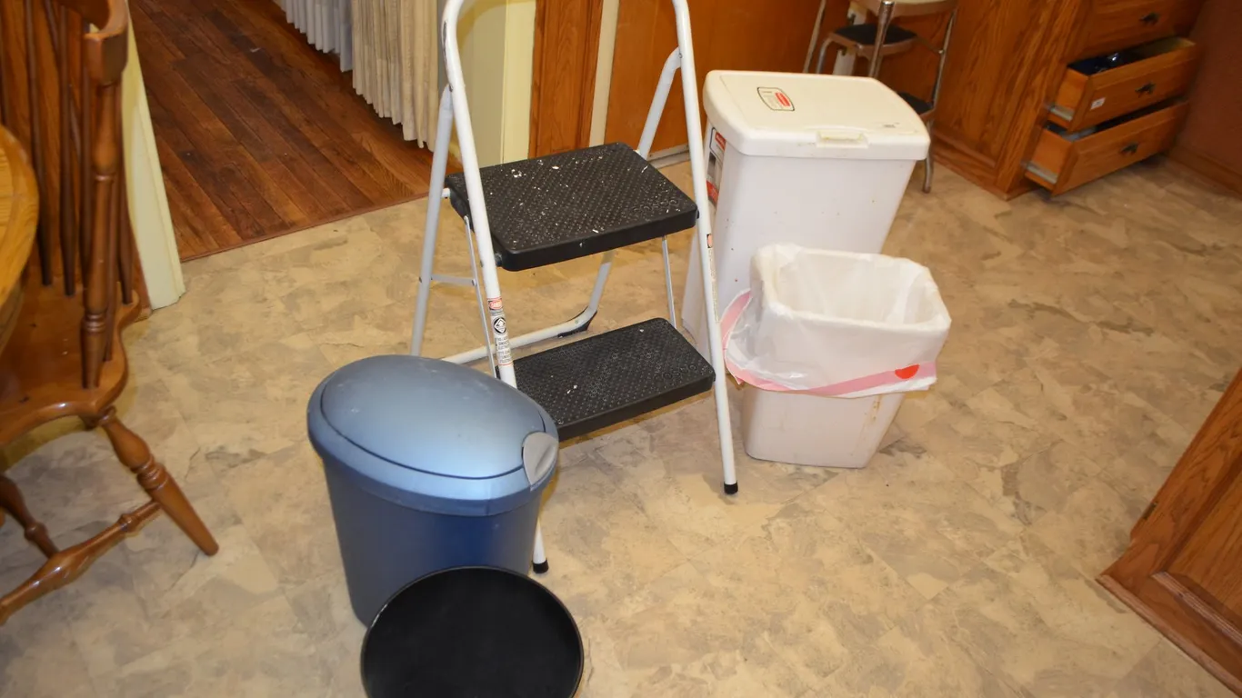 Step Ladder, Trash Cans