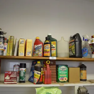 Wasp Killer, Bug Foggers,