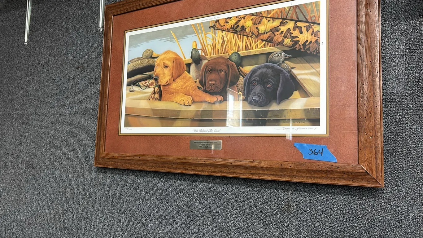 FRAMED PRINT SHARON ANDERSON “WET BEHIND THE EARS”