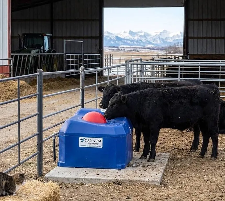 Canarm EF40C Energy Free Covered Poly Waterer