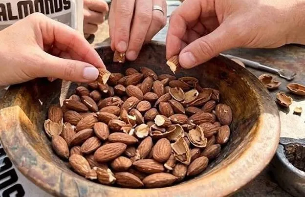 K Roasted Salted Almonds 142g Pack