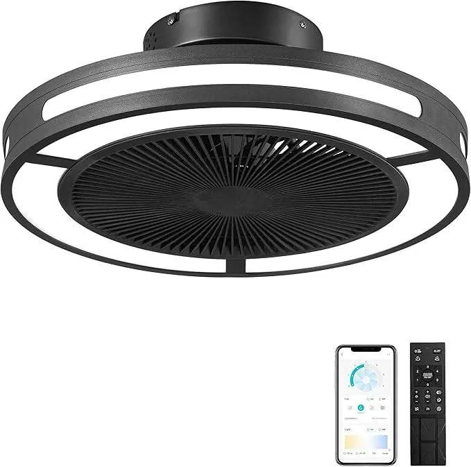 Intelligent Fan Light With Remote Control