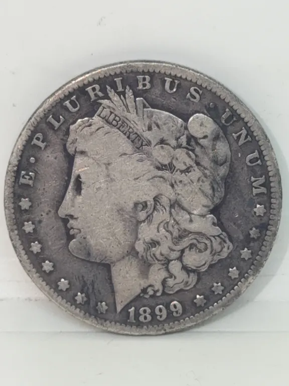Morgan Silver Dollar