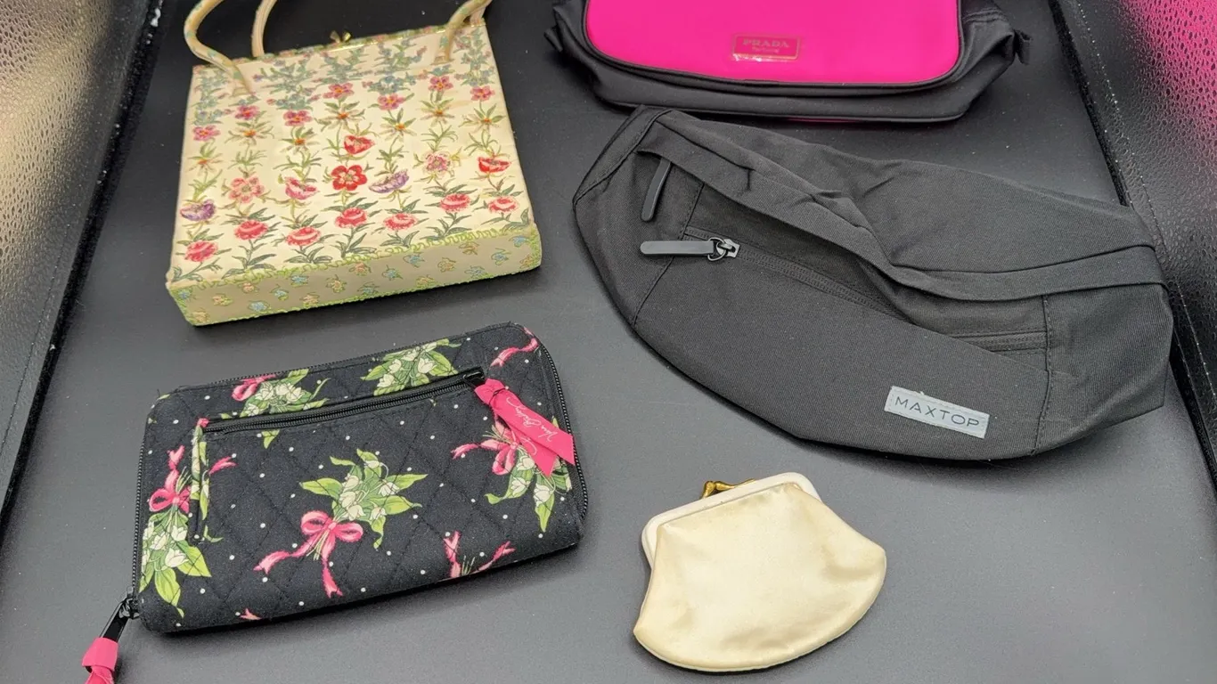 Evening Bag/Purse, Prada Parfume Cosmetic Bag, Vera Bradley Wallet, Fanny Pack