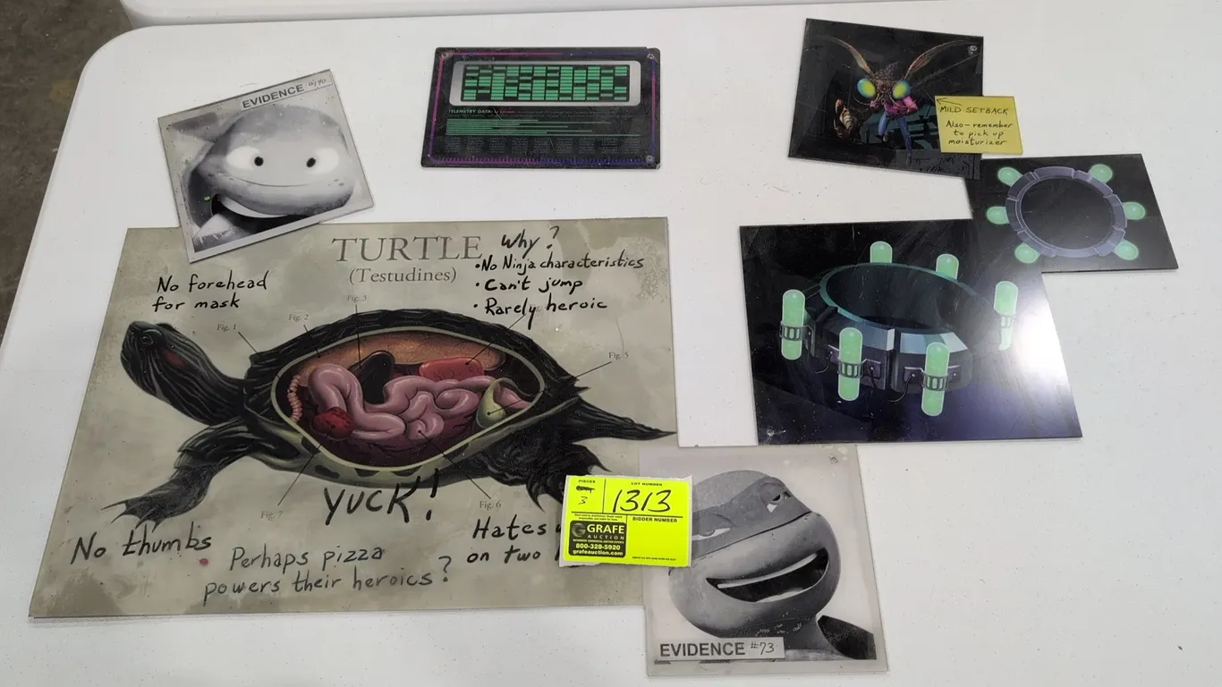 Assorted Teenage Mutant Ninja Turtles ride signage