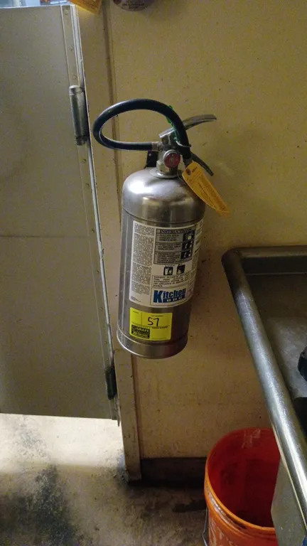 Kitchen One wet chemical fire extinguisher. Features a stainless steel cylinder, pressure gauge, discharge hose, and wall mounting bracket.