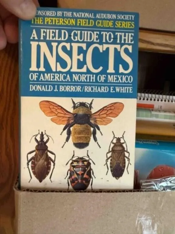 Box of insect books