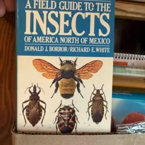 Box of insect books