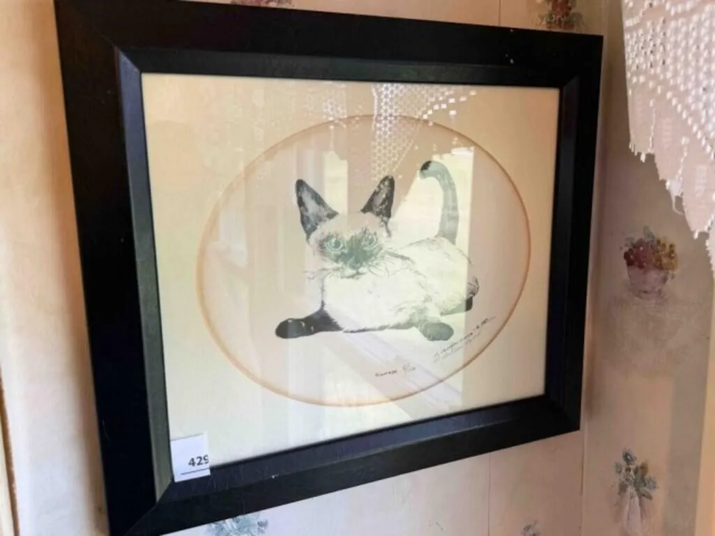 CAT PICTURE