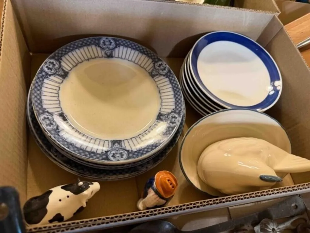 Vintage F&Sons 8" Plates - Salt/Pepper Shaker