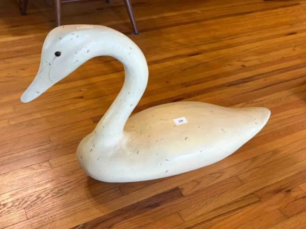 Wood Swan